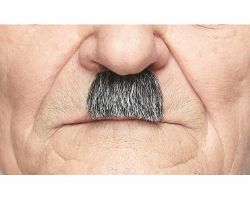 MOUSTACHE - STRAIGHT AND EXTRA-SHORT - BLACK & GREY