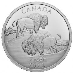MULTIPLE FROSTINGS COINS -  THE MIGHTY BISON -  2022 CANADIAN COINS 01