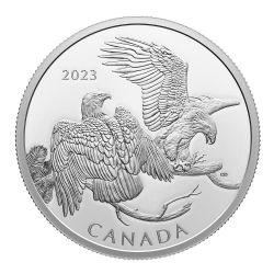 MULTIPLE FROSTINGS COINS -  THE STRIKING BALD EAGLE -  2023 CANADIAN COINS 02