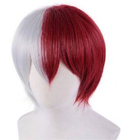 MY HERO ACADEMIA -  SHOTO TODOROKI WIG (ADULT)