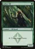 Masters 25 -  Arbor Elf