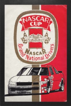 NASCAR -  NASCAR CUP PICTURE FRAME (13