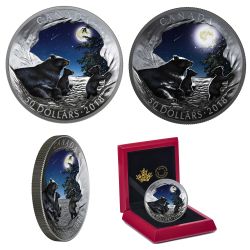 NATURE'S LIGHT SHOW -  MOONLIT TRANQUILITY -  2018 CANADIAN COINS 02