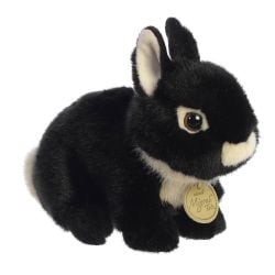 NETHERLAND DWARF BUNNY BLACK (7.5