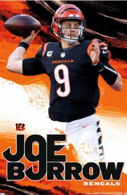 Jungle Jim's has about 100 Joe Burrow Funko Pops : r/bengals