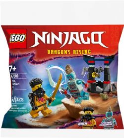 NINJAGO -  ARIN VERSUS DRAGONIAN BATTLE (60 PIECES) 30700
