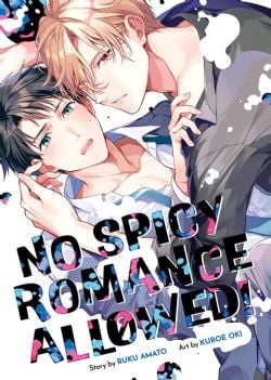 NO SPICY ROMANCE ALLOWED! -  (ENGLISH V.)