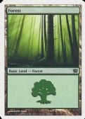 Ninth Edition -  Forest
