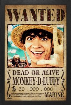 ONE PIECE -  LUFFY'S WANTED POSTER - FRAMED PICTURE (13