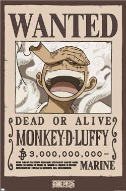 ONE PIECE -  MONKEY D LUFFY WANTED POSTER (22