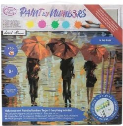 PAINT BY NUMBERS -  In the Rain