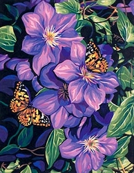 PAINT WORKS -  CLEMATIS AND BUTTERFLIES (11
