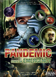 PANDEMIC -  STATE OF EMERGENCY (ENGLISH)