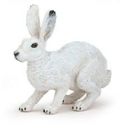 PAPO FIGURE -  ARCTIC HARE (2