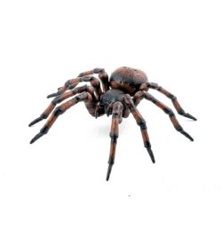 PAPO FIGURE -  COMMON SPIDER -  GARDEN ANIMALS 50292
