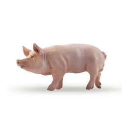 PAPO FIGURE -  PIG (2.5 X 4