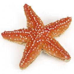 PAPO FIGURE -  STARFISH -  L'UNIVERS MARIN 56050