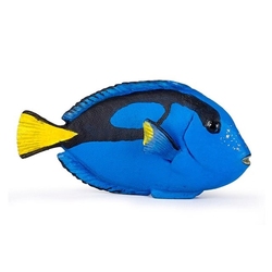 PAPO FIGURE -  SURGEON FISH (2.5