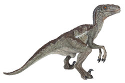 PAPO FIGURE -  VELOCIRAPTOR -  LES DINOSAURES 55023