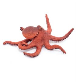 PAPO FIGURE -  YOUNG OCTOPUS -  L'UNIVERS MARIN 56060