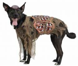 PARTY POOCH -  ZOMBIE COSTUME (DOG)