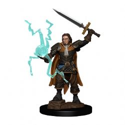 PATHFINDER BATTLE: PREMIUM PAINTED MINIATURES -  HUMAN MALE CLERIC -  RPG MINIATURE