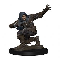 PATHFINDER BATTLE: PREMIUM PAINTED MINIATURES -  HUMAN MALE ROGUE -  RPG MINIATURE