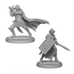 PATHFINDER DEEP CUTS UNPAINTED MINIATURES -  ELF PALADIN -  RPG MINIATURE