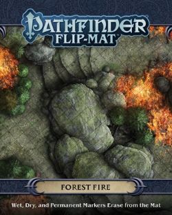 PLAYING SURFACE -  FOREST FIRE