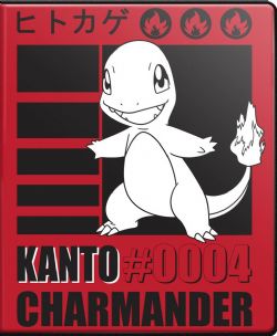 POKEMON -  9-POCKET PORTFOLIO - CHARMANDER 2025 (10 PAGES)