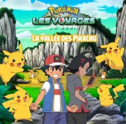 POKÉMON -  LA VALLÉE DES PIKACHU (FRENCH V.) -  LES VOYAGES : LA SÉRIE