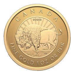 PUREST GOLD PREMIUM BULLION -  OUR PUREST BISON - 1 OZ. PURE GOLD -  2026 CANADIAN COINS 03