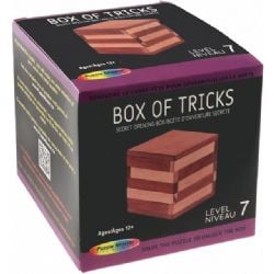PUZZLE MASTER -  BOX OF TRICKS (LEVEL 7)