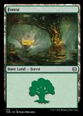 Phyrexia: All Will Be One -  Forest