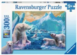 RAVENSBURGER -  POLAR BEAR KINGDOM (300 XXL PIECES) - 9+ -  XXL PIECE