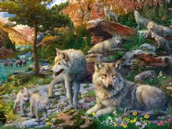 RAVENSBURGER -  WOLVES IN SPRING (1500 PIECES)