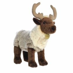 REINDEER (14