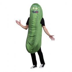 RICK AND MORTY -  FOAM PICKLE RICK COSTUME (ADULT - ONE SIZE)