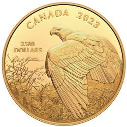 ROBERT BATEMAN -  VANTAGE POINT – BALD EAGLE -  PIÈCES DU CANADA 2023 05