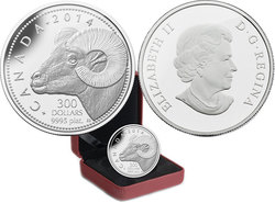 ROCKY MOUNTAIN BIGHORN SHEEP -  2014 CANADIANS COINS
