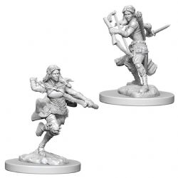 ROLEPLAYING MINIATURES -  AIR GENASI FEMALE ROGUE (2) -  D&D NOLZUR'S MARVELOUS MINIATURES DUNGEONS & DRAGONS 5