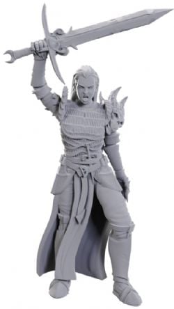 ROLEPLAYING MINIATURES -  BLACKGUARD -  D&D NOLZUR'S MARVELOUS MINIATURES