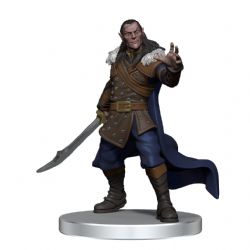 ROLEPLAYING MINIATURES -  DENIZENS OF CASTLE RAVEN -  DUNGEONS & DRAGONS CURSE OF STRAHD