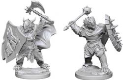 ROLEPLAYING MINIATURES -  DRAGONBORN MALE PALADIN (2) -  D&D NOLZUR'S MARVELOUS MINIATURES DUNGEONS & DRAGONS 5