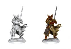 ROLEPLAYING MINIATURES -  DRAGONBORN PALADIN MALE -  DUNGEONS & DRAGONS FRAMEWORKS