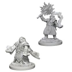 ROLEPLAYING MINIATURES -  DWARF FEMALE CLERIC (2) -  D&D NOLZUR'S MARVELOUS MINIATURES DUNGEONS & DRAGONS 5