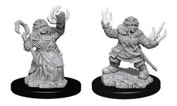 ROLEPLAYING MINIATURES -  DWARF FEMALE SUMMONER -  D&D NOLZUR'S MARVELOUS MINIATURES DUNGEONS & DRAGONS 5
