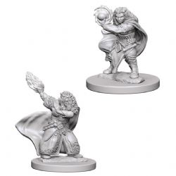 ROLEPLAYING MINIATURES -  DWARF FEMALE WIZARD -  D&D NOLZUR'S MARVELOUS MINIATURES DUNGEONS & DRAGONS 5
