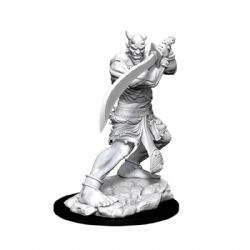 ROLEPLAYING MINIATURES -  EFREETI -  DUNGEONS & DRAGONS D&D NOLZUR'S MARVELOUS MI