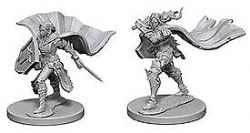 ROLEPLAYING MINIATURES -  ELF FEMALE PALADIN -  DEEP CUTS PATHFINDER